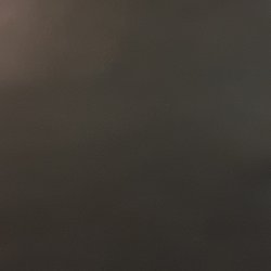 Organic Leather - kologisk lder