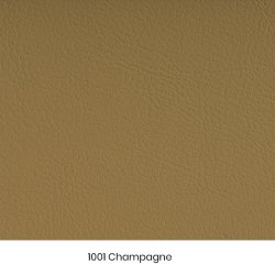 VALENCIA KUNSTLDER - prveklip