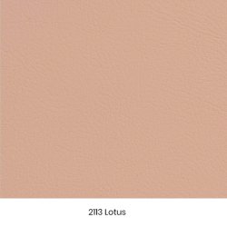 VALENCIA KUNSTLDER - prveklip