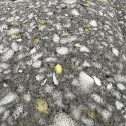 Polytex Granulatskumplade - fleprve