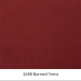 2490 Burned terra