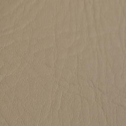 APOLLO kunstlder - prveklip