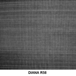 DIANA Hestehrsbetrk 65 cm. br.