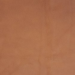 VIGINIA L�derstykker til s�der cognac