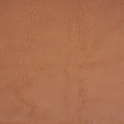 VIGINIA L�derstykker til s�der cognac