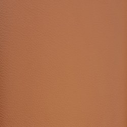 VIGINIA L�derstykker til s�der cognac