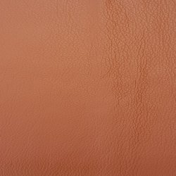 VIGINIA L�derstykker til s�der cognac