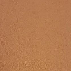 VIGINIA L�derstykker til s�der cognac