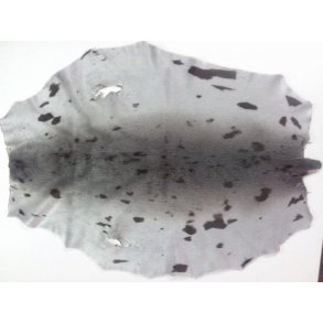 S�lskind fra Gr�nland