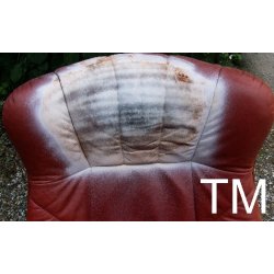 Leather degreaser Spray